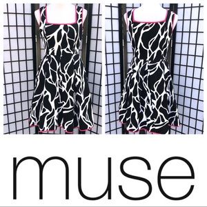 Muse Anthropologie Fit & Flare Dress with Pockets!